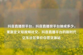 抖音直播放平台,抖音直播放平台抽成多少,重新定义短视频社交,抖音直播平台的新时代亿乐社区低价自营货源站