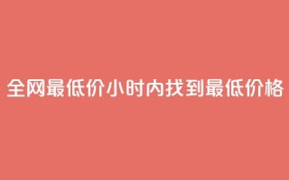 全网最低价:24小时内找到最低价格