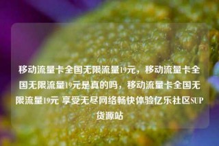 移动流量卡全国无限流量19元,移动流量卡全国无限流量19元是真的吗,移动流量卡全国无限流量19元 享受无尽网络畅快体验亿乐社区SUP货源站