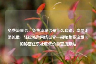 免费流量卡,免费流量卡是什么套路,享受无限流量,轻松畅游网络世界—揭秘免费流量卡的秘密亿乐社区低价自营货源站