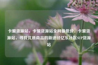卡盟货源站,卡盟货源站全网最低价,卡盟货源站,寻找优质商品的新途径亿乐社区SUP货源站