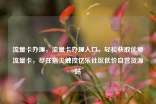 流量卡办理,流量卡办理入口,轻松获取优质流量卡,尽在指尖触控亿乐社区低价自营货源站