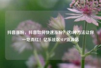 抖音涨粉,抖音如何快速涨粉?这8种方法让你一炮而红!亿乐社区SUP货源站
