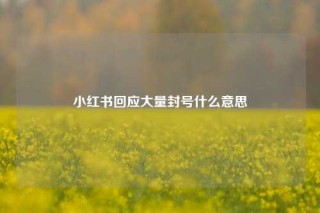 小红书回应大量封号什么意思