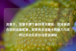 流量卡,流量卡哪个最好用又便宜,选择最适合您的流量套餐,探索各类流量卡的魅力与优势亿乐社区低价自营货源站