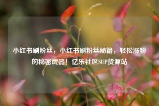 小红书刷粉丝,小红书刷粉丝秘籍,轻松涨粉的秘密武器!亿乐社区SUP货源站