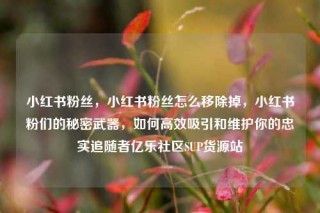 小红书粉丝,小红书粉丝怎么移除掉,小红书粉们的秘密武器,如何高效吸引和维护你的忠实追随者亿乐社区SUP货源站