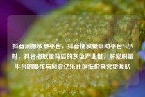 抖音刷播放量平台，抖音播放量自助平台24小时，抖音播放量背后的灰色产业链，解密刷量平台的操作与风险亿乐社区低价自营货源站
