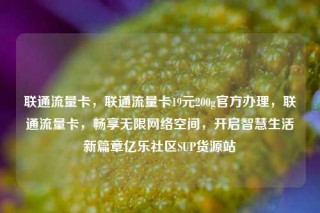 联通流量卡,联通流量卡19元200g官方办理,联通流量卡,畅享无限网络空间,开启智慧生活新篇章亿乐社区SUP货源站