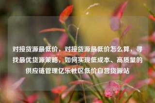 对接货源最低价,对接货源最低价怎么算,寻找最优货源策略,如何实现低成本、高质量的供应链管理亿乐社区低价自营货源站