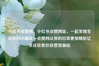 小红书点赞网,小红书点赞网址,一起发现生活中的小确幸—点赞网让你的日常更加精彩亿乐社区低价自营货源站