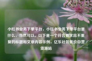 小红书业务下单平台，小红书业务下单平台是什么，当然可以。以下是一个符合要求且不重复的标题和文章内容示例，亿乐社区低价自营货源站