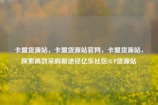 卡盟货源站,卡盟货源站官网,卡盟货源站,探索高效采购新途径亿乐社区SUP货源站