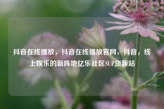 抖音在线播放,抖音在线播放官网,抖音,线上娱乐的新阵地亿乐社区SUP货源站