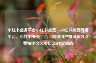 小红书业务平台小红书点赞,小红书点赞网络平台,小红书业务平台,揭秘用户如何高效点赞和评论亿乐社区SUP货源站