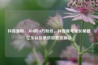抖音涨粉,从0到10万粉丝,抖音账号成长秘籍亿乐社区低价自营货源站