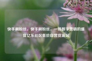 快手刷粉丝,快手刷粉丝,一场数字营销的盛宴亿乐社区低价自营货源站