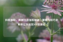 抖音涨粉，揭秘抖音涨粉秘籍，策略与技巧全解析亿乐社区SUP货源站