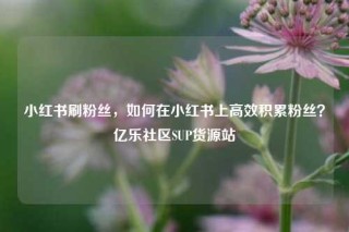 小红书刷粉丝,如何在小红书上高效积累粉丝?亿乐社区SUP货源站
