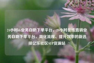 24小时dy业务自助下单平台,24小时在线直销业务自助下单平台,简化流程、提升效率的新选择亿乐社区SUP货源站