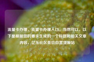 流量卡办理，流量卡办理入口，当然可以。以下是根据您的要求生成的一个标题和相关文章内容，亿乐社区低价自营货源站
