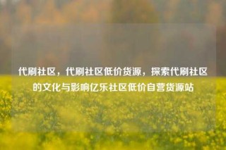 代刷社区,代刷社区低价货源,探索代刷社区的文化与影响亿乐社区低价自营货源站