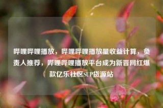 哔哩哔哩播放,哔哩哔哩播放量收益计算,负责人推荐,哔哩哔哩播放平台成为新晋网红爆款亿乐社区SUP货源站