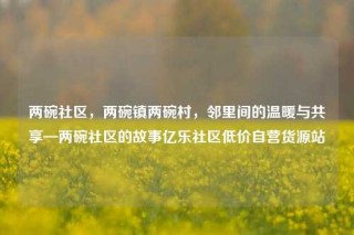 两碗社区,两碗镇两碗村,邻里间的温暖与共享—两碗社区的故事亿乐社区低价自营货源站