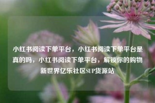 小红书阅读下单平台,小红书阅读下单平台是真的吗,小红书阅读下单平台,解锁你的购物新世界亿乐社区SUP货源站