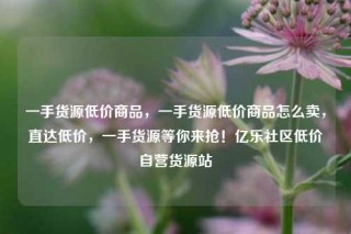 一手货源低价商品，一手货源低价商品怎么卖，直达低价，一手货源等你来抢！亿乐社区低价自营货源站