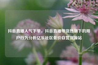 抖音直播人气下单,抖音直播带货热潮下的用户行为分析亿乐社区低价自营货源站