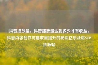 抖音播放量,抖音播放量达到多少才有收益,抖音内容创作与播放量提升的秘诀亿乐社区SUP货源站