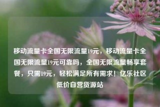 移动流量卡全国无限流量19元,移动流量卡全国无限流量19元可靠吗,全国无限流量畅享套餐,只需19元,轻松满足所有需求!亿乐社区低价自营货源站