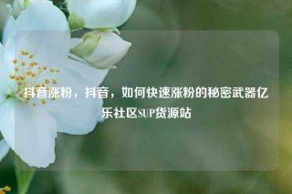 抖音涨粉,抖音,如何快速涨粉的秘密武器亿乐社区SUP货源站