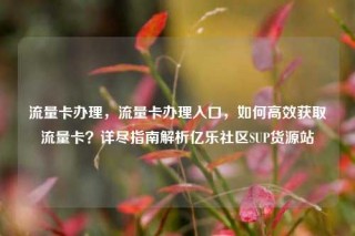 流量卡办理,流量卡办理入口,如何高效获取流量卡?详尽指南解析亿乐社区SUP货源站