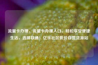 流量卡办理,流量卡办理入口,轻松享受便捷生活,选择联通!亿乐社区低价自营货源站