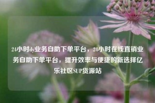 24小时dy业务自助下单平台,24小时在线直销业务自助下单平台,提升效率与便捷的新选择亿乐社区SUP货源站