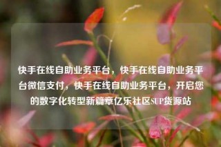 快手在线自助业务平台,快手在线自助业务平台微信支付,快手在线自助业务平台,开启您的数字化转型新篇章亿乐社区SUP货源站