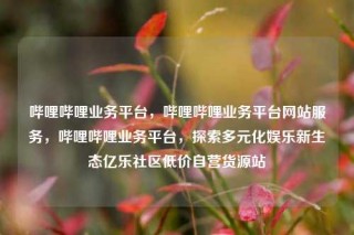 哔哩哔哩业务平台,哔哩哔哩业务平台网站服务,哔哩哔哩业务平台,探索多元化娱乐新生态亿乐社区低价自营货源站