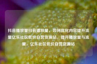 抖音播放量抖音播放量，如何优化内容提升流量亿乐社区低价自营货源站，提升播放量与流量，亿乐社区低价自营货源站