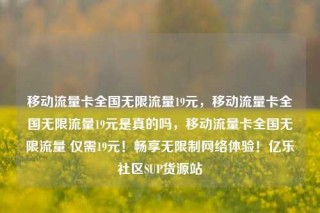 移动流量卡全国无限流量19元,移动流量卡全国无限流量19元是真的吗,移动流量卡全国无限流量 仅需19元!畅享无限制网络体验!亿乐社区SUP货源站