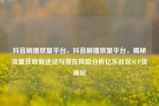 抖音刷播放量平台,抖音刷播放量平台,揭秘流量获取新途径与潜在风险分析亿乐社区SUP货源站