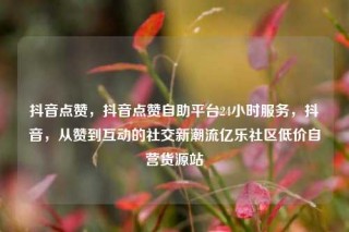 抖音点赞，抖音点赞自助平台24小时服务，抖音，从赞到互动的社交新潮流亿乐社区低价自营货源站