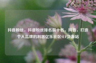 抖音粉丝,抖音粉丝排名前十名,抖音,打造个人品牌的利器亿乐社区SUP货源站