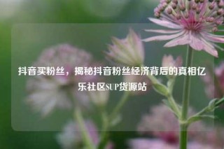 抖音买粉丝,揭秘抖音粉丝经济背后的真相亿乐社区SUP货源站