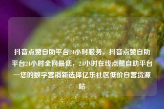 抖音点赞自助平台24小时服务,抖音点赞自助平台24小时全网最低,24小时在线点赞自助平台—您的数字营销新选择亿乐社区低价自营货源站
