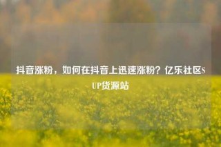 抖音涨粉,如何在抖音上迅速涨粉?亿乐社区SUP货源站