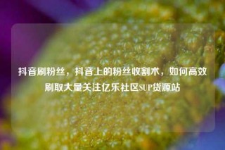 抖音刷粉丝,抖音上的粉丝收割术,如何高效刷取大量关注亿乐社区SUP货源站