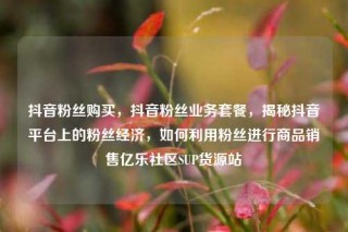 抖音粉丝购买,抖音粉丝业务套餐,揭秘抖音平台上的粉丝经济,如何利用粉丝进行商品销售亿乐社区SUP货源站