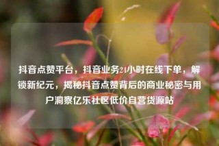 抖音点赞平台,抖音业务24小时在线下单,解锁新纪元,揭秘抖音点赞背后的商业秘密与用户洞察亿乐社区低价自营货源站